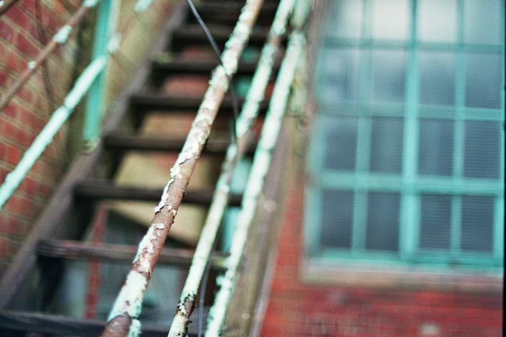 Nikon Nikkor / Nikon 55mm f1.2 heritage sample 5