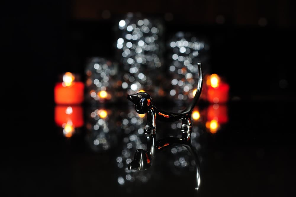 Nikon 50mm f/1.2 AI-S heritage sample 2