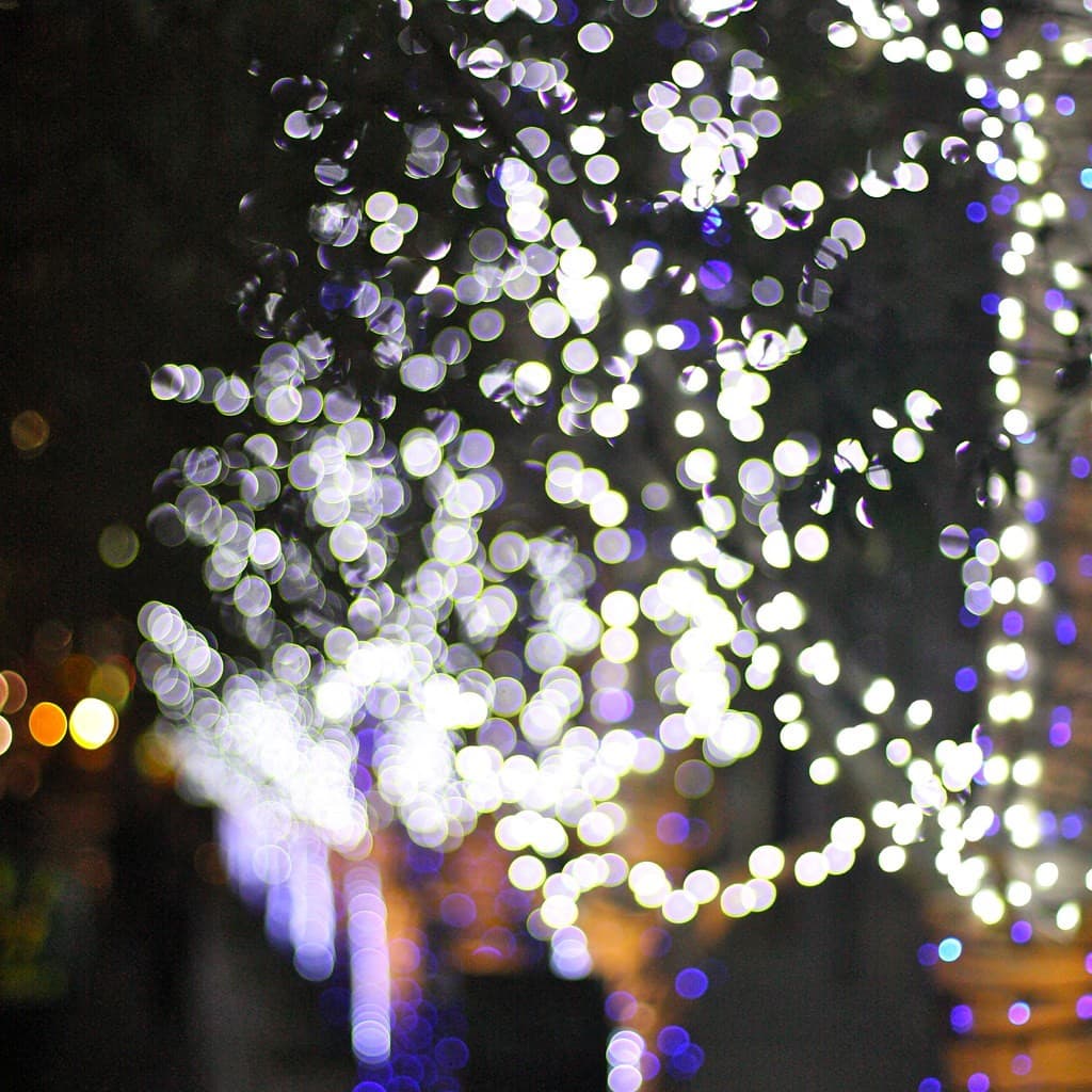 Canon 50mm f1.4 heritage sample 2