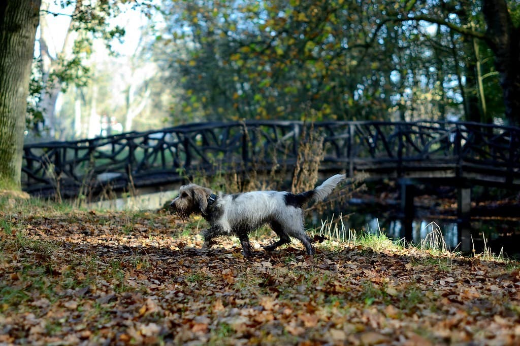 Rikenon Rikenon 55mm f1.4 heritage sample 3