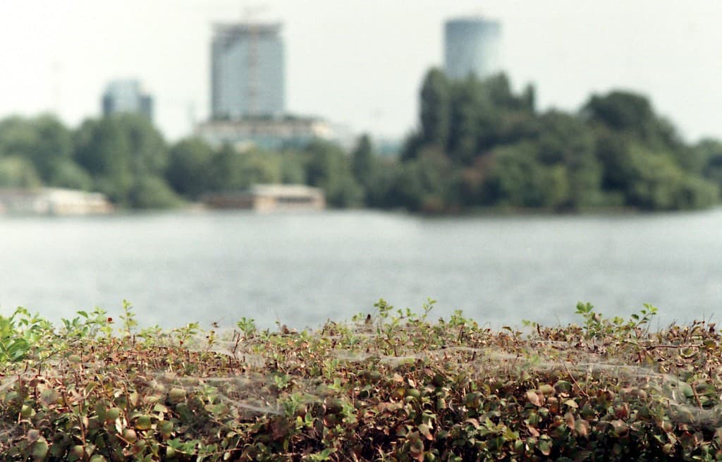Contax / Yashica ML heritage sample 3