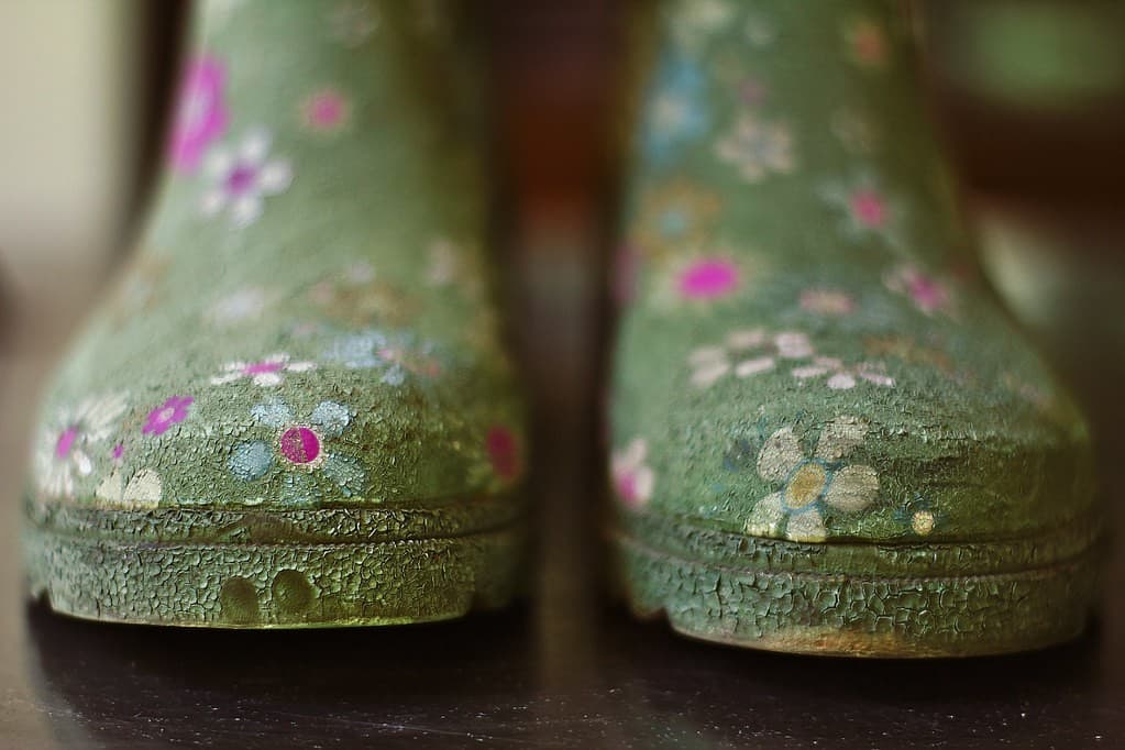 Sears Sears 50mm f1.7 heritage sample 4