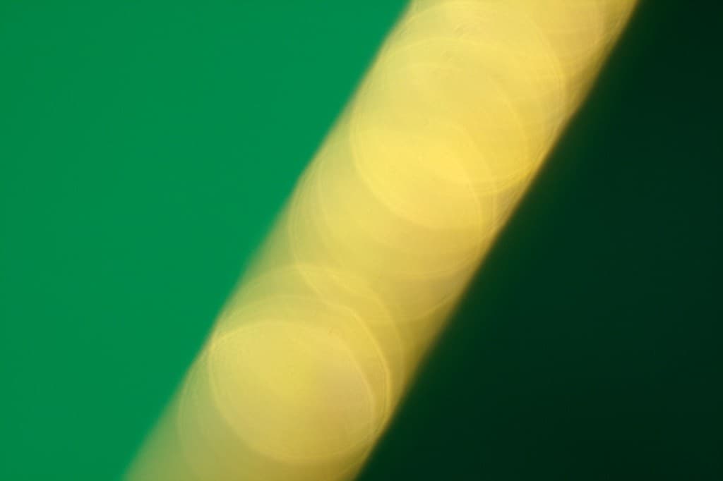 Tele-Lentar Tele-Lentar 200mm f4.5  heritage sample 4