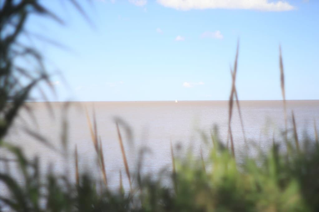 Fujinon 50mm f/1.4 M42 heritage sample 4