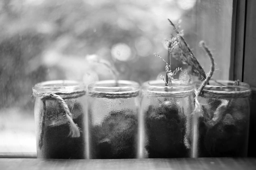Leica Summicron-M 35mm f/2 heritage sample 3