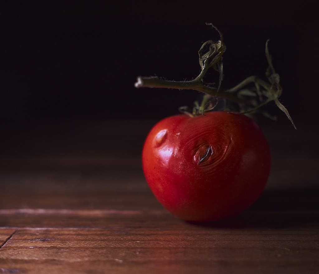 Konica Hexanon 57mm f/1.4 heritage sample 1