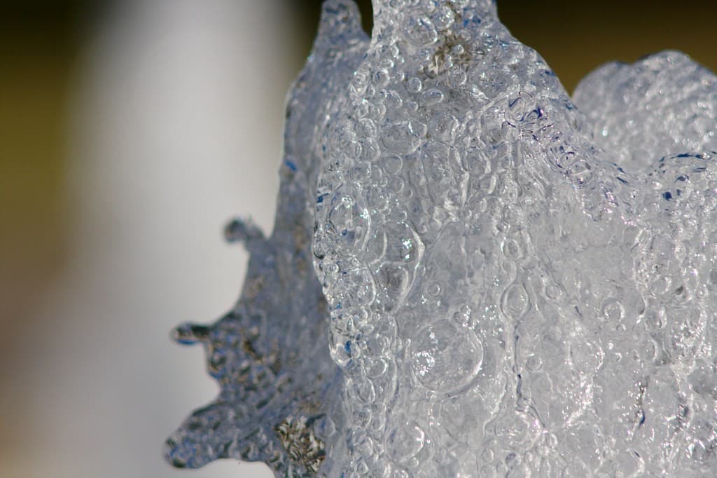 Canon Canon 200mm f3.5 heritage sample 1