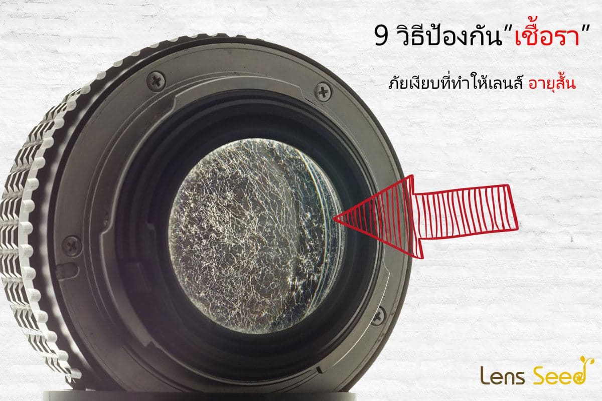 วิธี หยุดเนื้อร้าย (เชื้อรา) ในกล้องและเลนส์คุณ