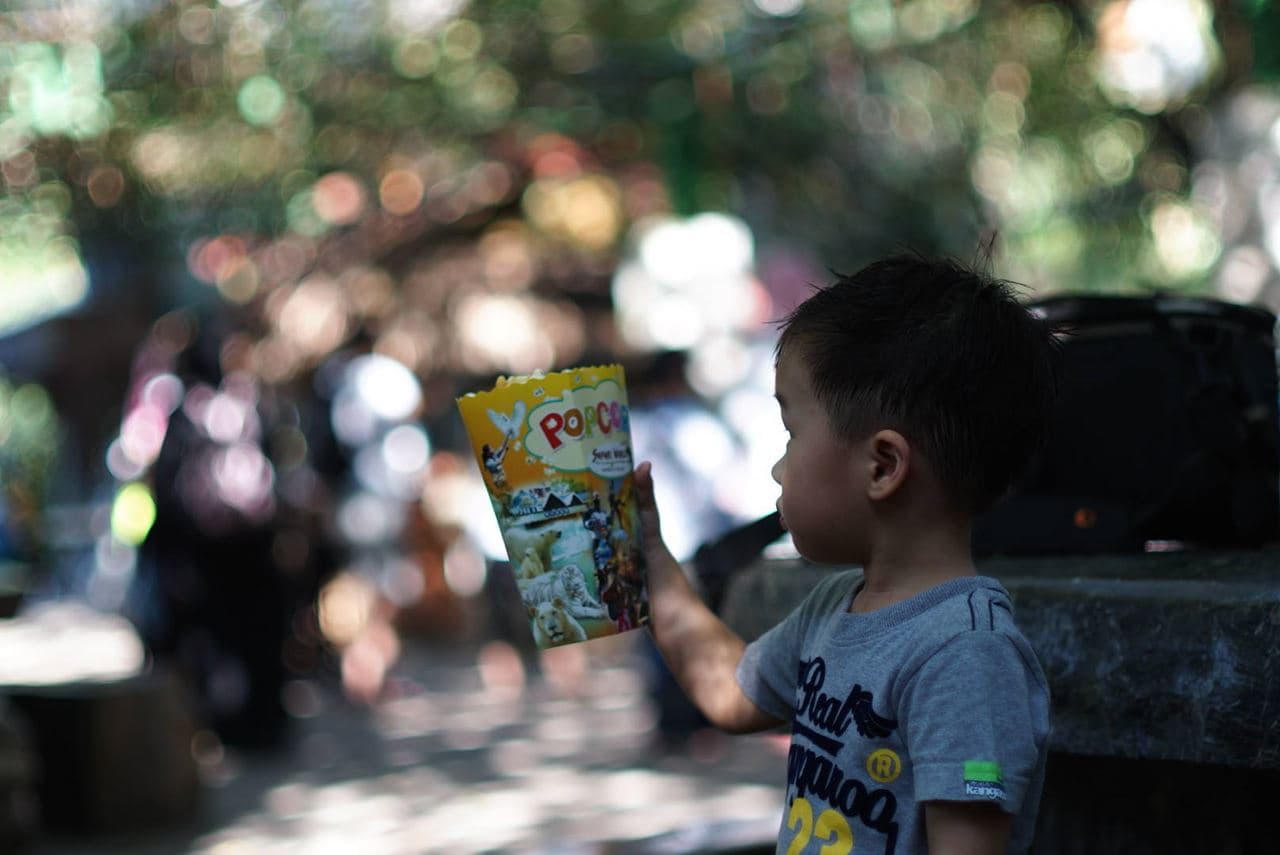 พา Canon 55mm f1.2 FL ไปเที่ยวซาฟารีกับเด็กน้อย