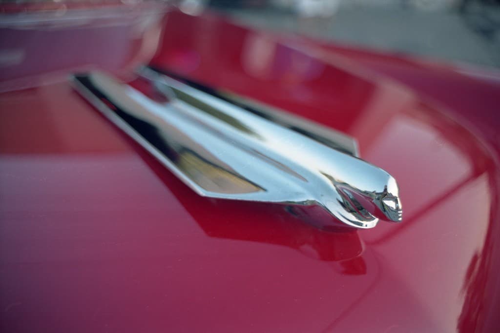 Vivitar 28mm f2.5 heritage sample 5