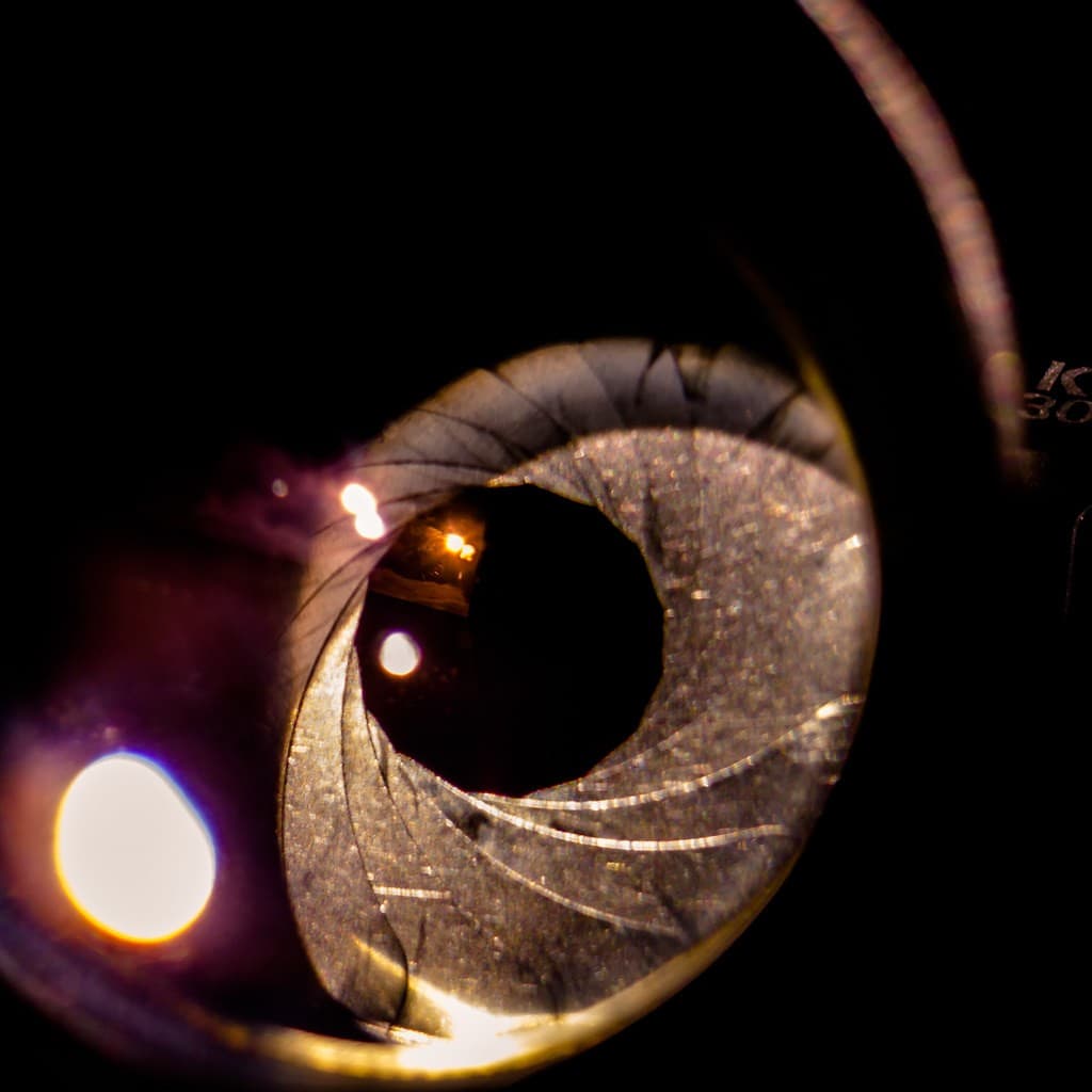 Pentacon 135mm f/2.8 (15-blade) heritage sample 5