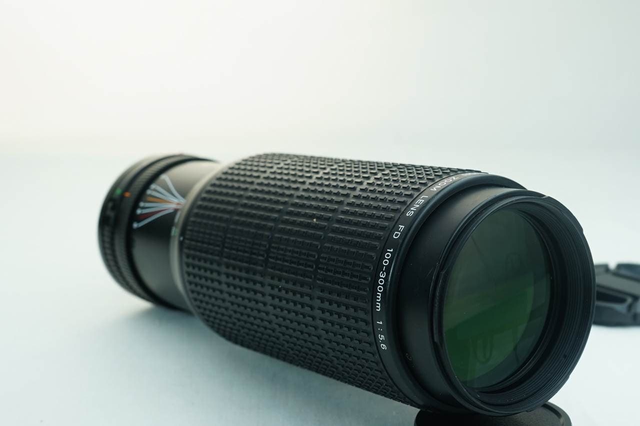 Canon Canon 100-300mm f5.6 heritage lens body